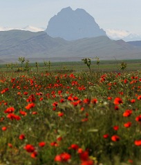 Nakhchivan